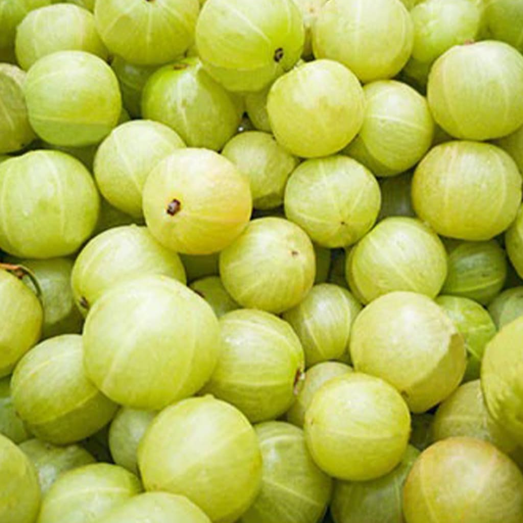 Amla