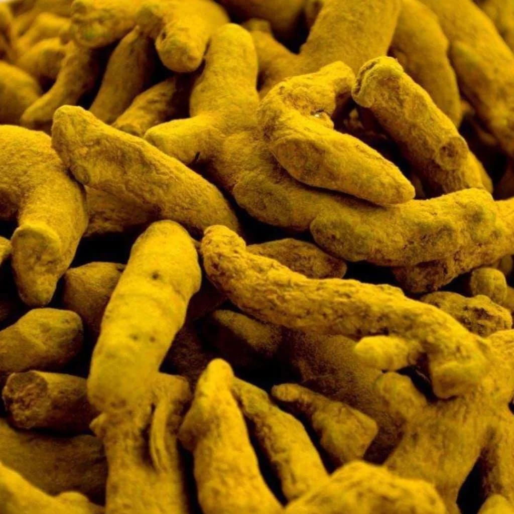 Turmeric