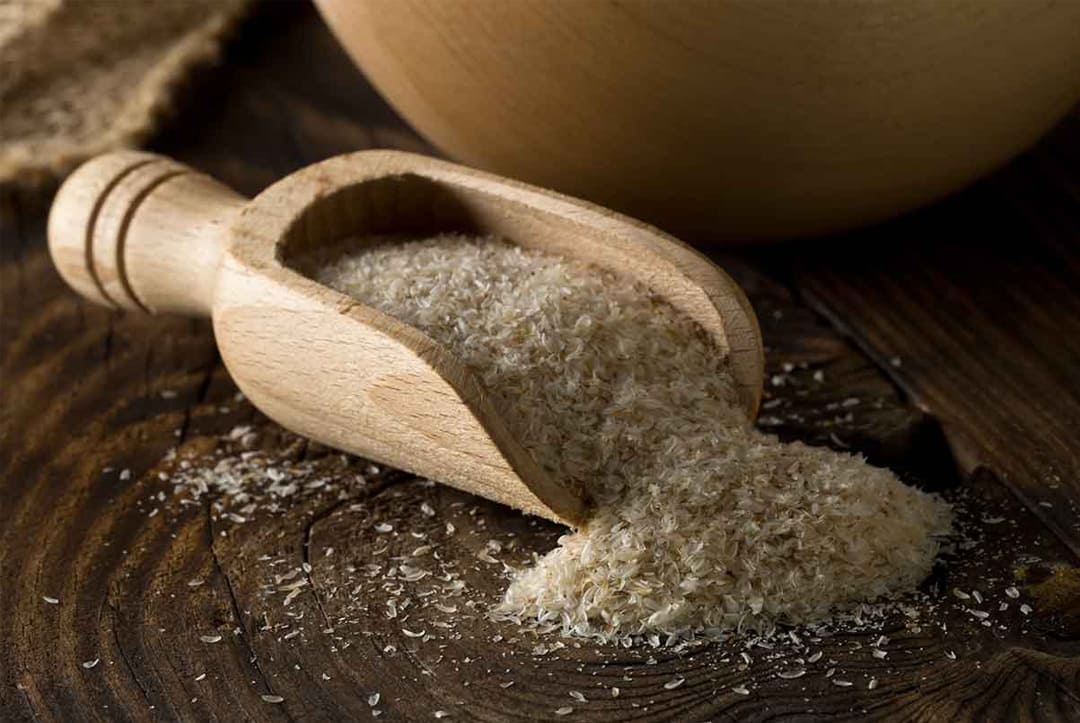 Psyllium Bread for Gluten-Free Bakery Industry