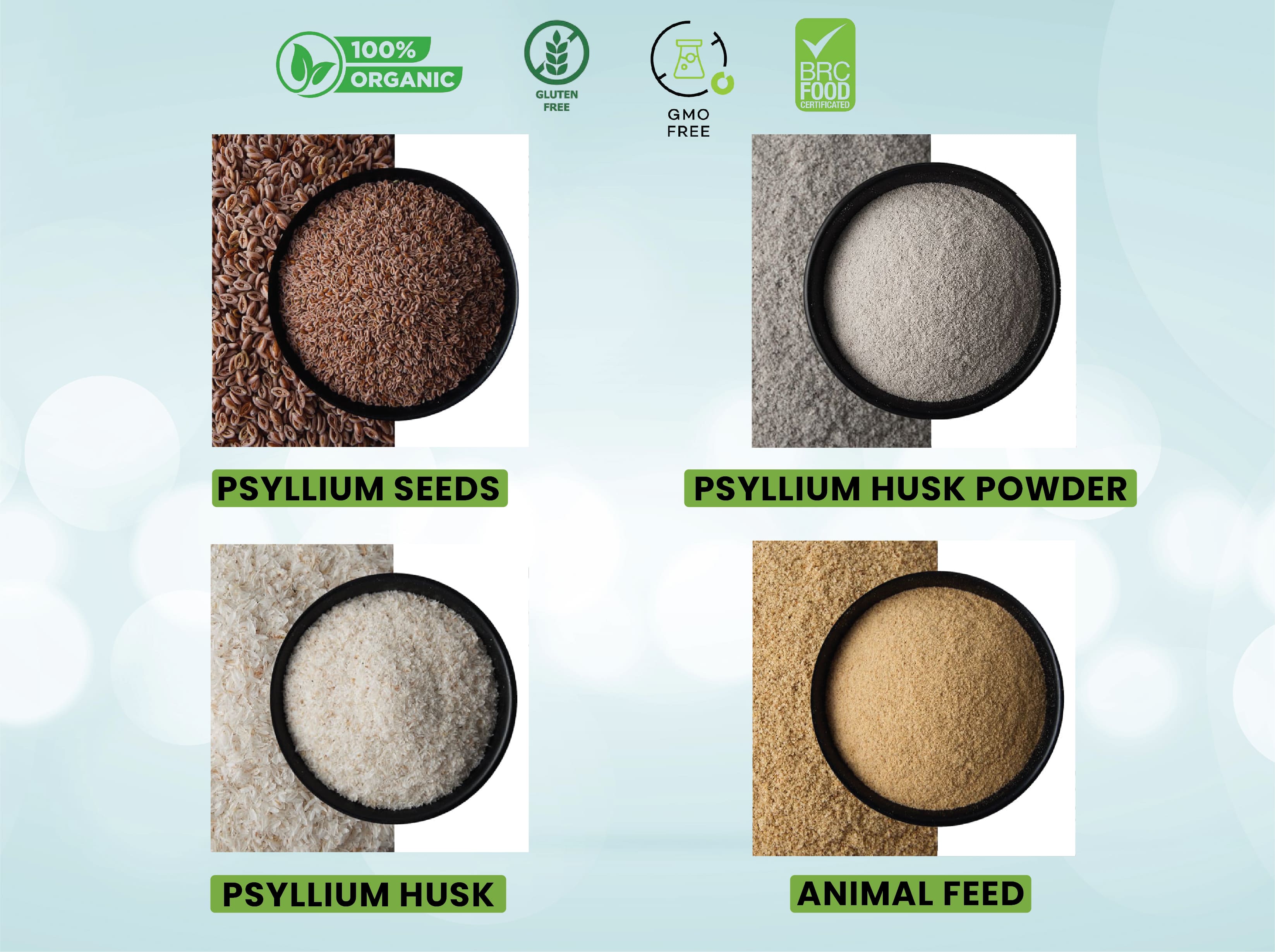 Best-psyllium-producer