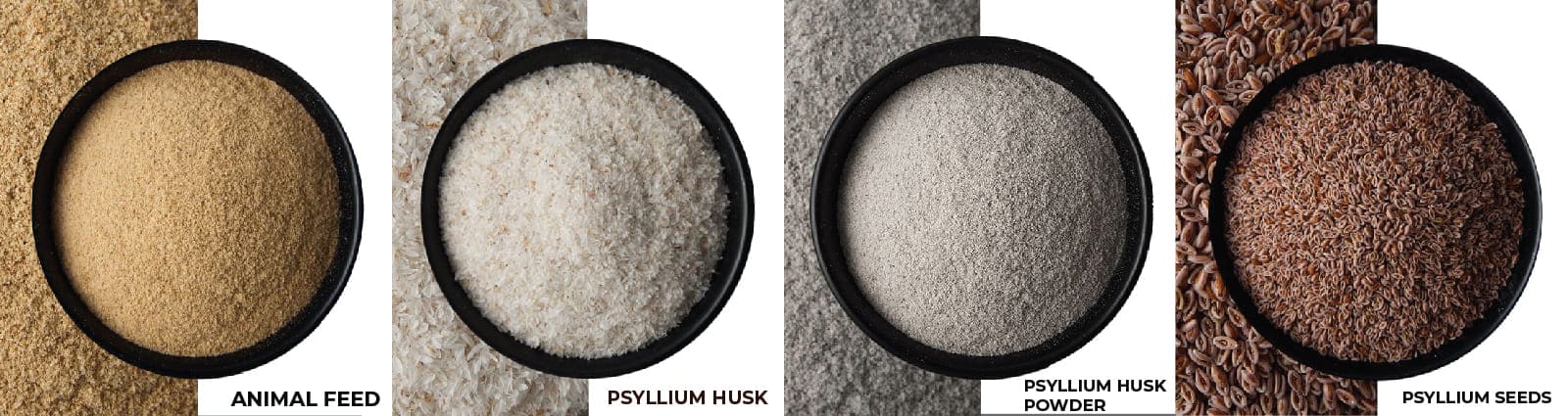 Psyllium Husk Products