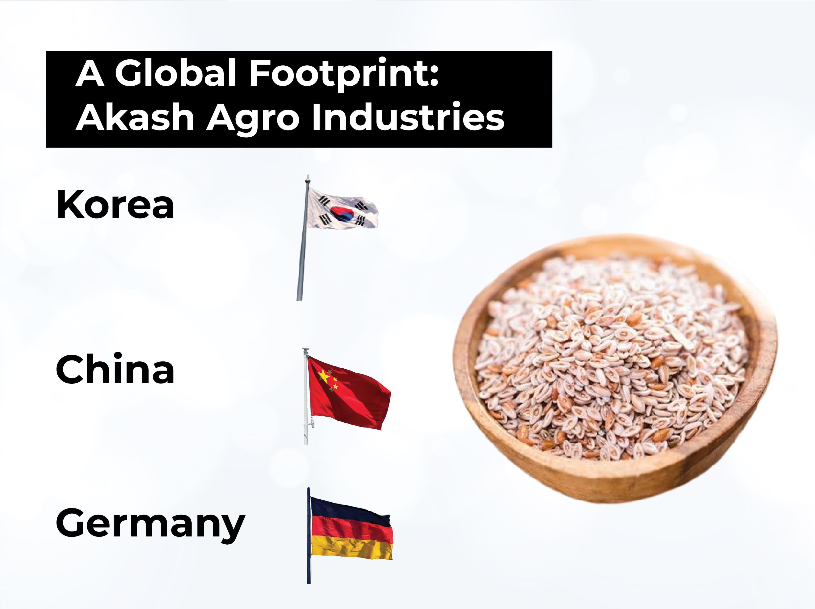 akash agro industries Psyllium export in global market