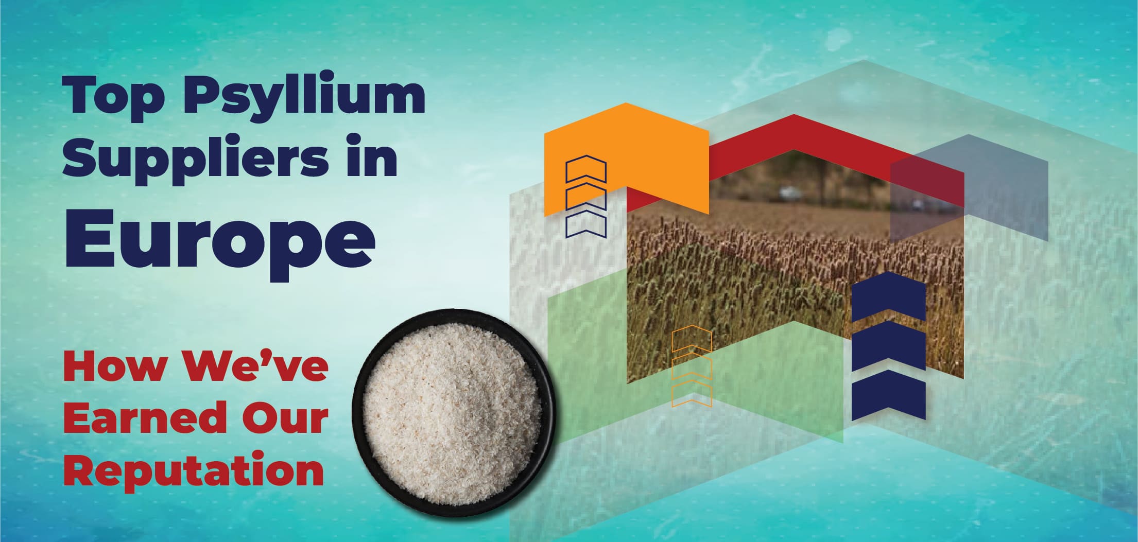 Psyllium  Suppliers