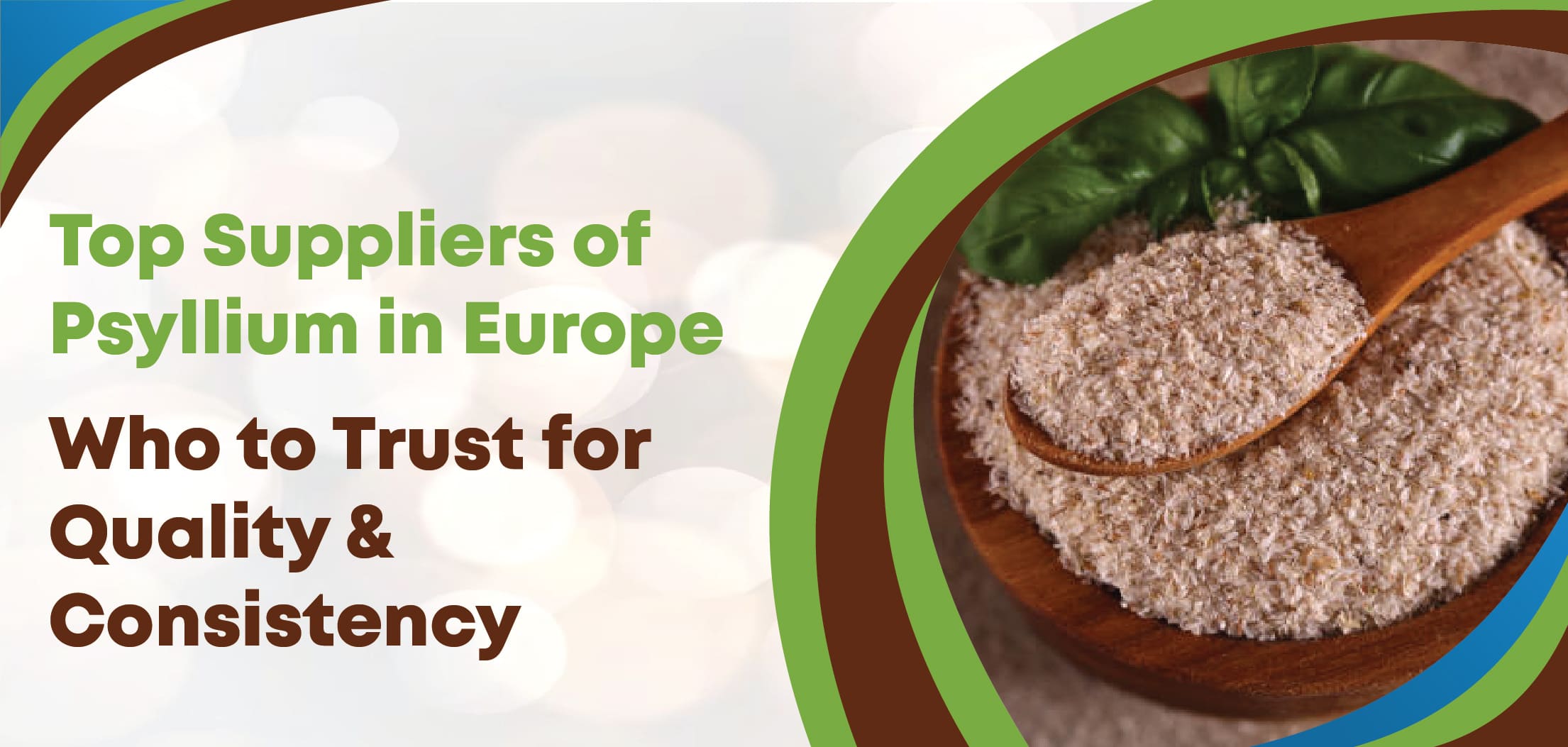 Top Suppliers of Psyllium in Europe: Who to Trust for Quality and Consistency