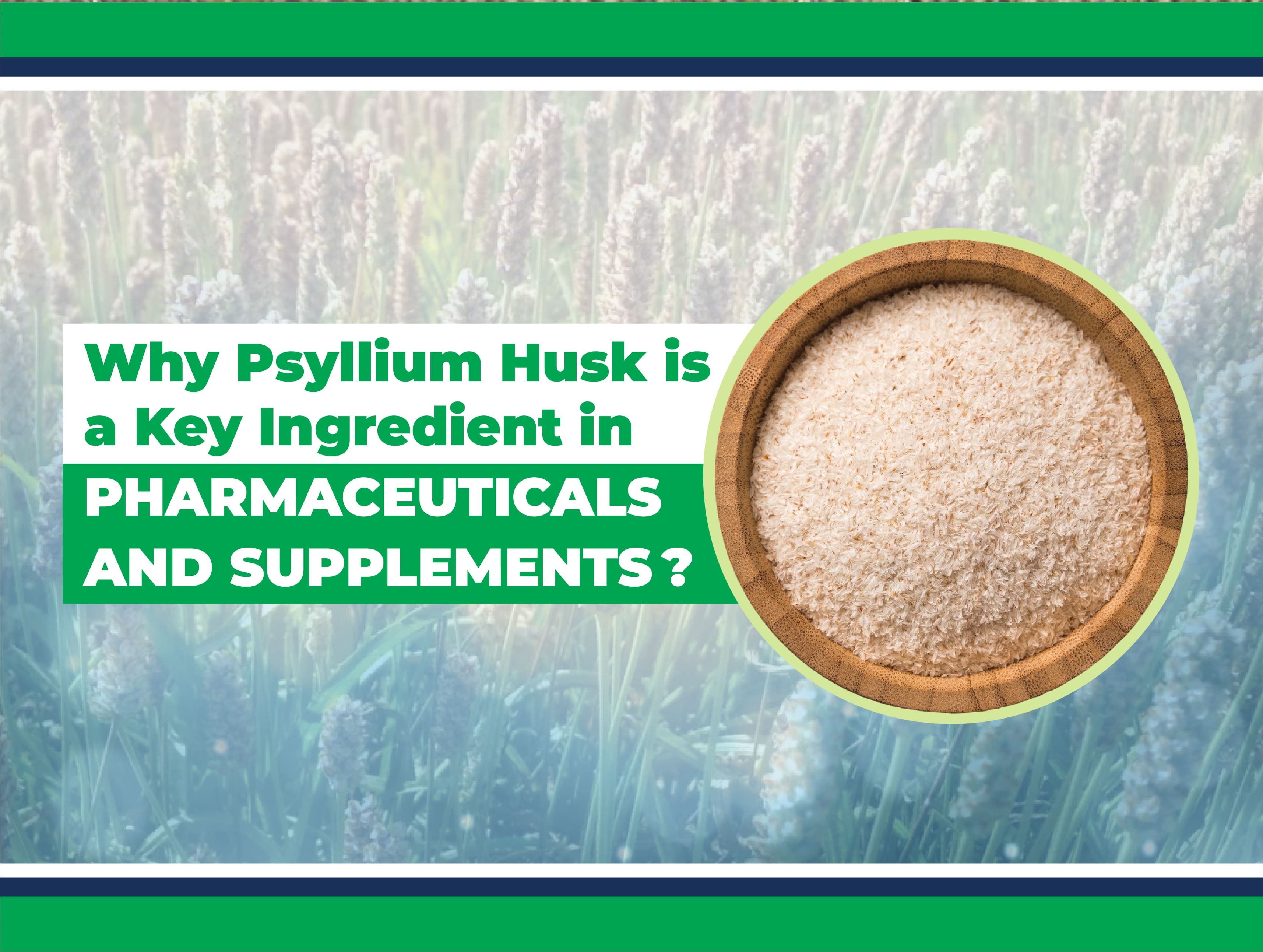 Why Psyllium Husk is a Key Ingredient in Pharmaceuticals