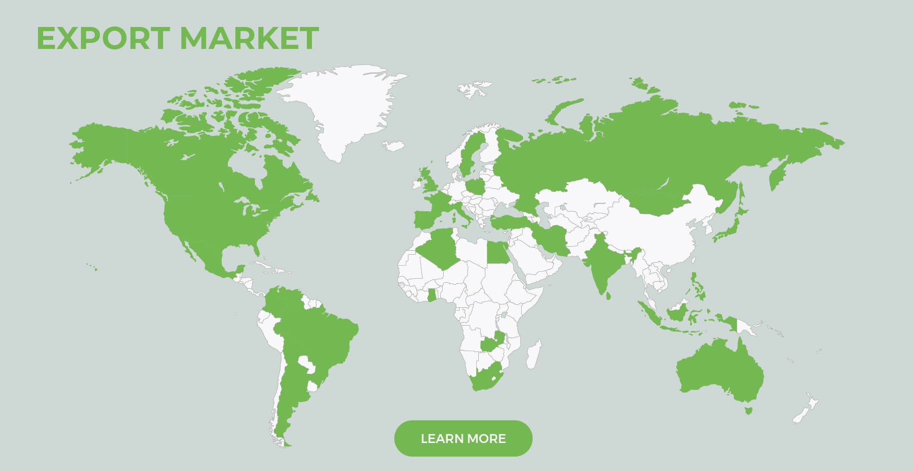 Export market map