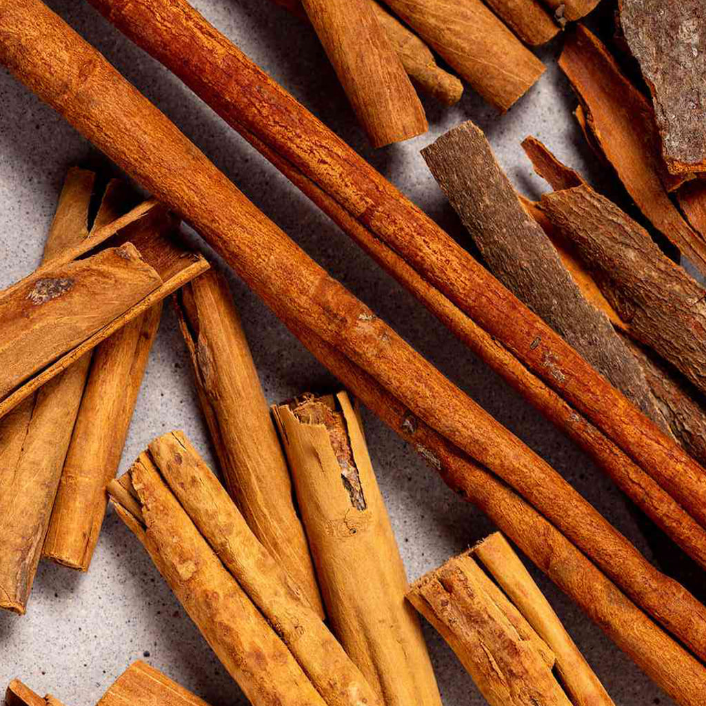 Cinnamon Spices akash agro Gujarat india