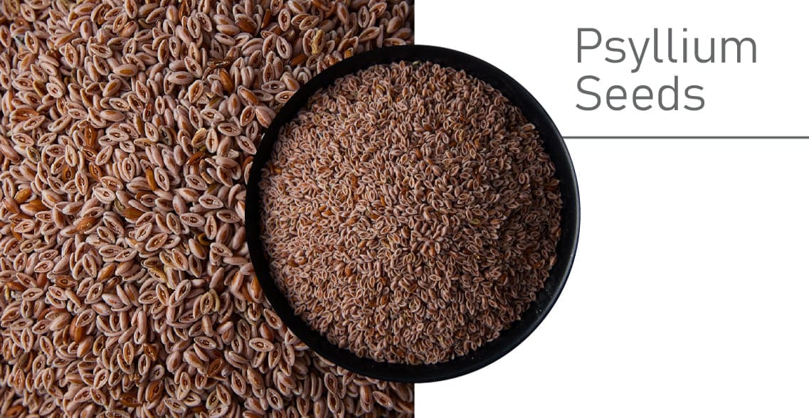 Psyllium Seeds exporter in India
